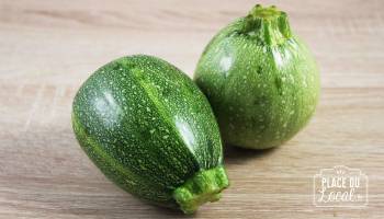 Courgettes Rondes Bio