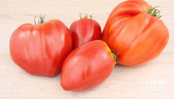 Tomates Coeur de Boeuf Bio