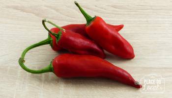 Piment Gorria frais Bio