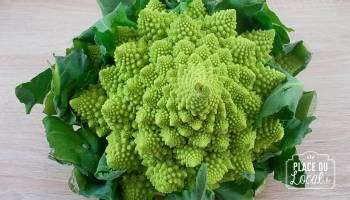 Chou Romanesco bio