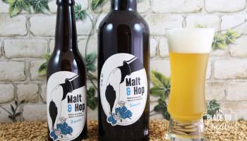 Malt & Hop - Blanche