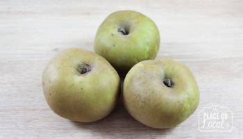 Pomme Canada Grise Bio