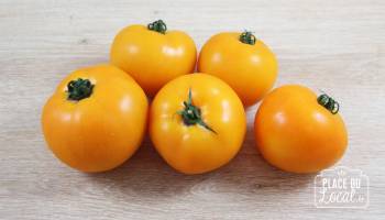 Tomates Jaunes Rondes  Bio