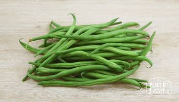 Haricots verts Bio