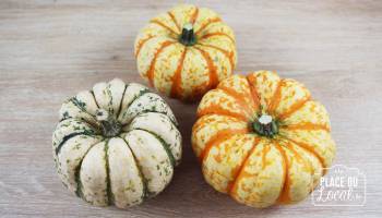 Courge Patidou Bio