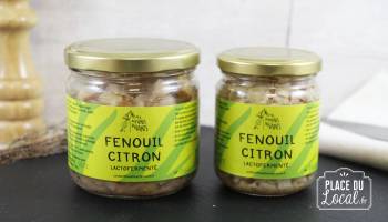 Fenouil - Citron