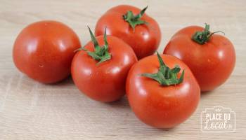 Tomates Rondes Bio