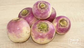 Navets blanc ou violet