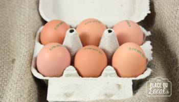 Oeufs Label BIO