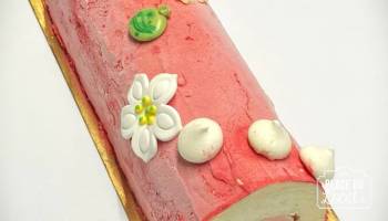 Buches Glacées : Vanille/Fraise