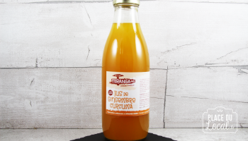 Jus de Gingembre Curcuma