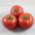 Tomates Rondes Bio