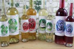 Liqueurs de fruits & plantes
