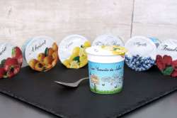 Yaourts aux fruits