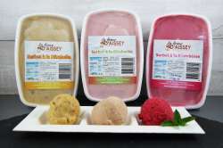 Crèmes glacées et Sorbets 1L