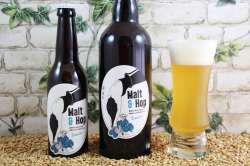 Malt & Hop - Blanche