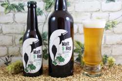 Malt & Hop - IPA