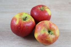 Pomme Reinette Bio