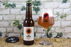 Baboon - Gorye