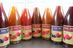 Nectar de pomme et fruits
