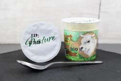 Yaourts vache nature