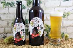 Malt & Hop - Session IPA