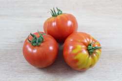 Tomates Rouges Mélange