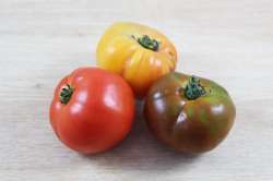 Tomates Mélangées