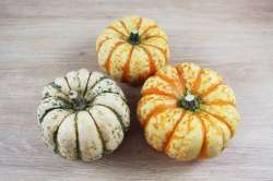 Courge Patidou Bio