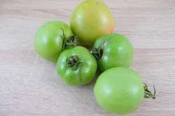 Tomates Vertes (pas mûres)