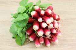 Radis Bio (rouge rond ou rose long)