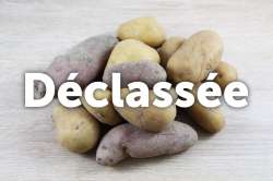 Mélange Pomme de Terre Déclassée