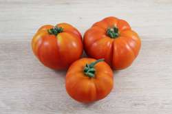 Tomates Côtelées Bio
