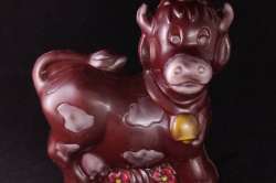 Vache Noir garni Bio