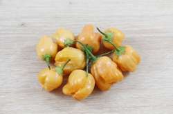 Piment Aji Mango Bio